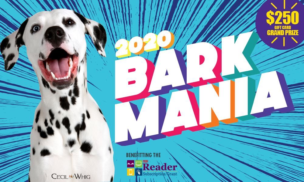 Bark Mania 2020 header